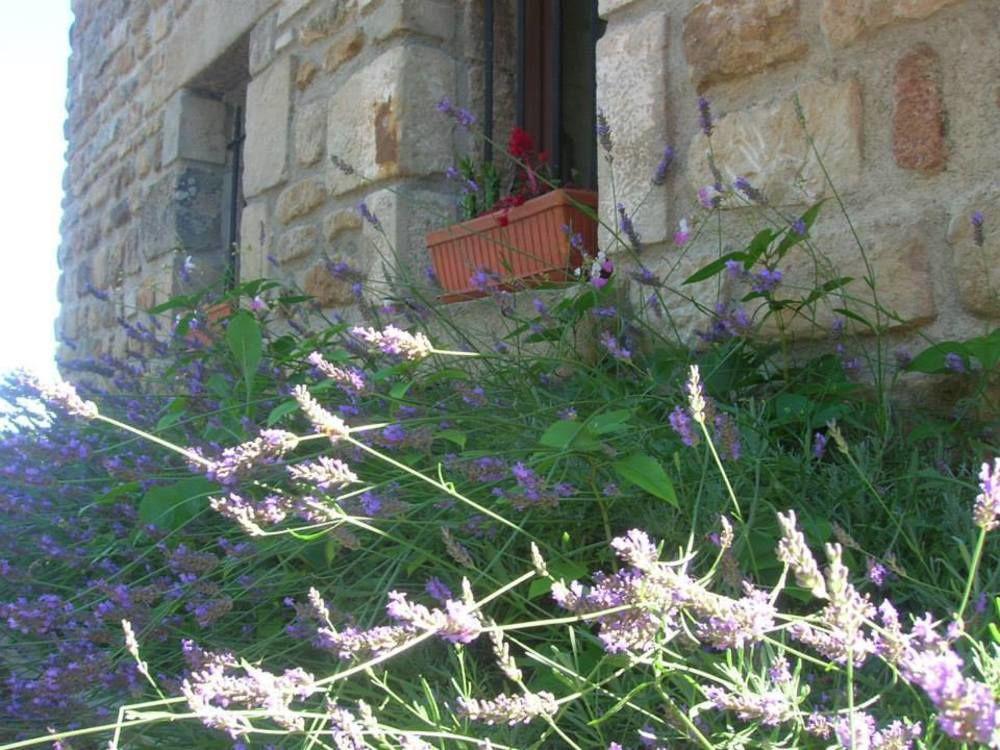 Aux Vieux Arceaux Ξενοδοχείο Mercuer Εξωτερικό φωτογραφία